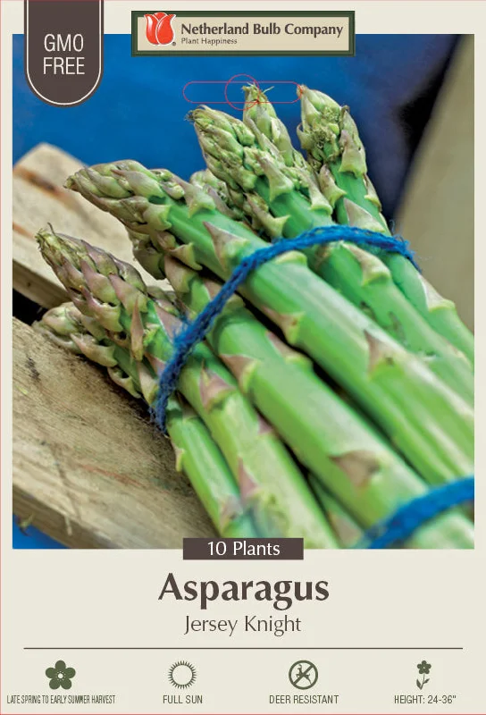 Netherland Bulb Company Asparagus officinalis 'Jersey Knight' (10 Plants)