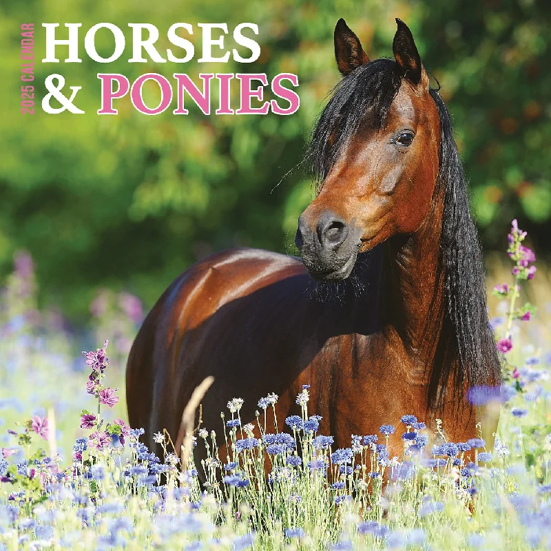 Horses & Ponies Calendar 2025