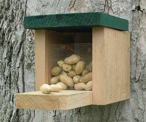 Songbird Essentials Squirrel Feeder Snack Box