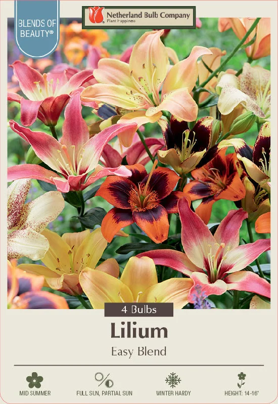 Netherland Bulb Company Lilium  'Easy Blend' (4 Bulbs)