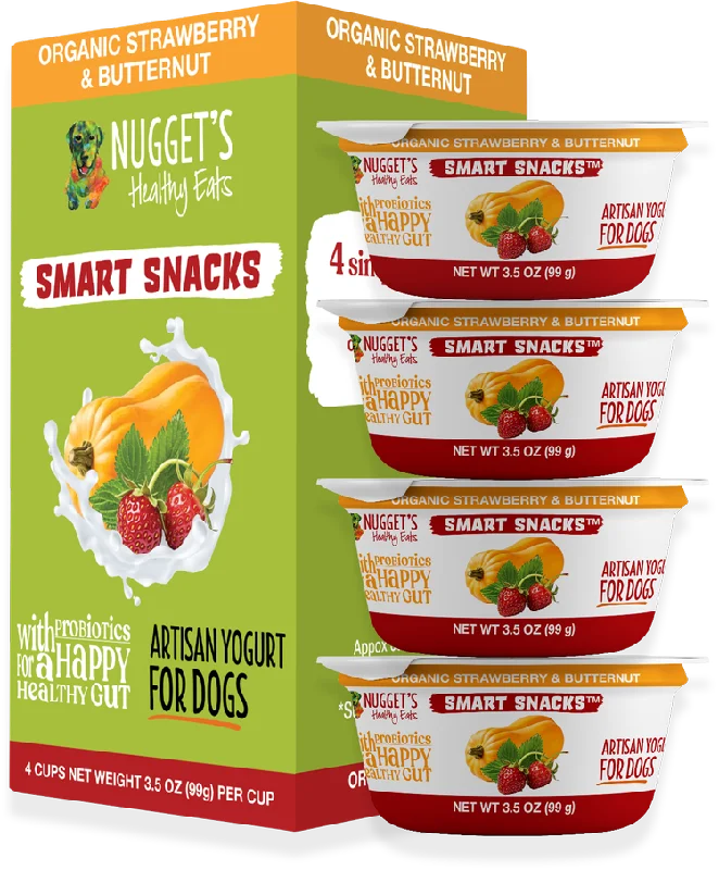 Nugget's Healthy Eats Frozen Smart Snacks Artisan Yogurt Strawberry & Butternut for Dogs (3.5 oz)