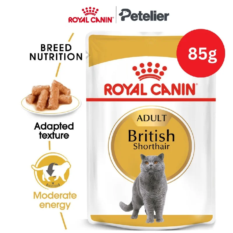 Royal Canin British Shorthair Adult 85g Pouch Wet Cat Food - Feline Breed Nutrition